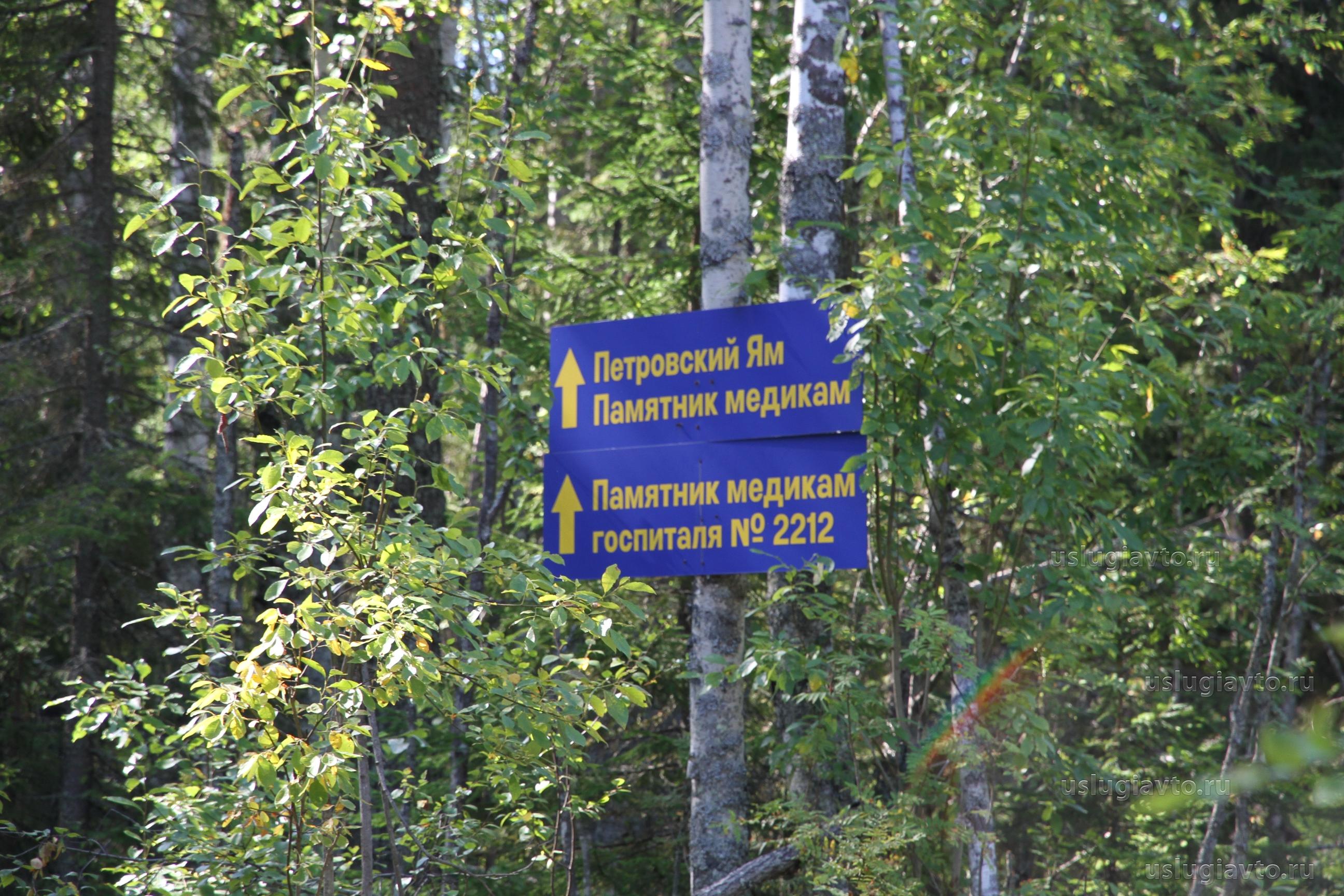 указатель на лесных дорогах