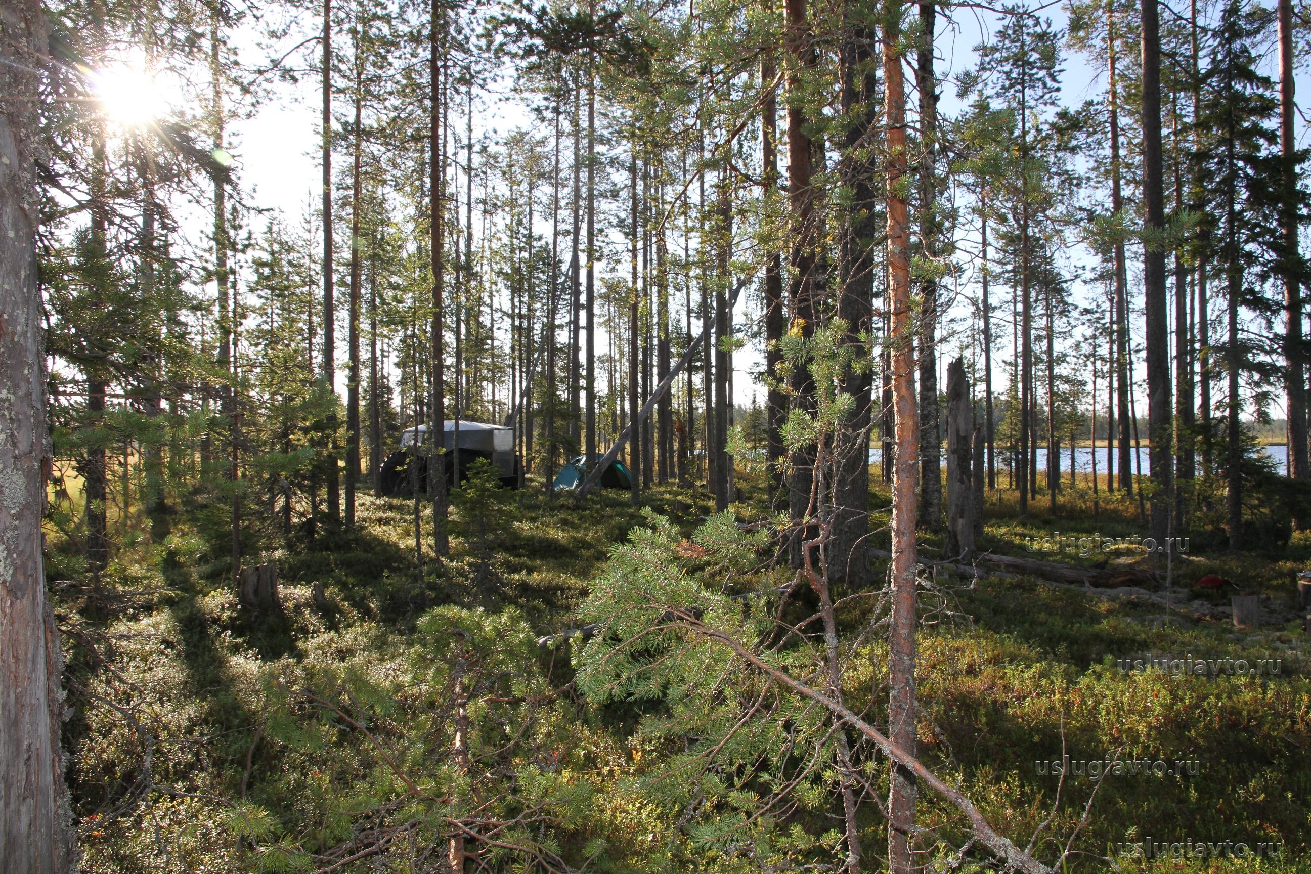 утро в Карелии