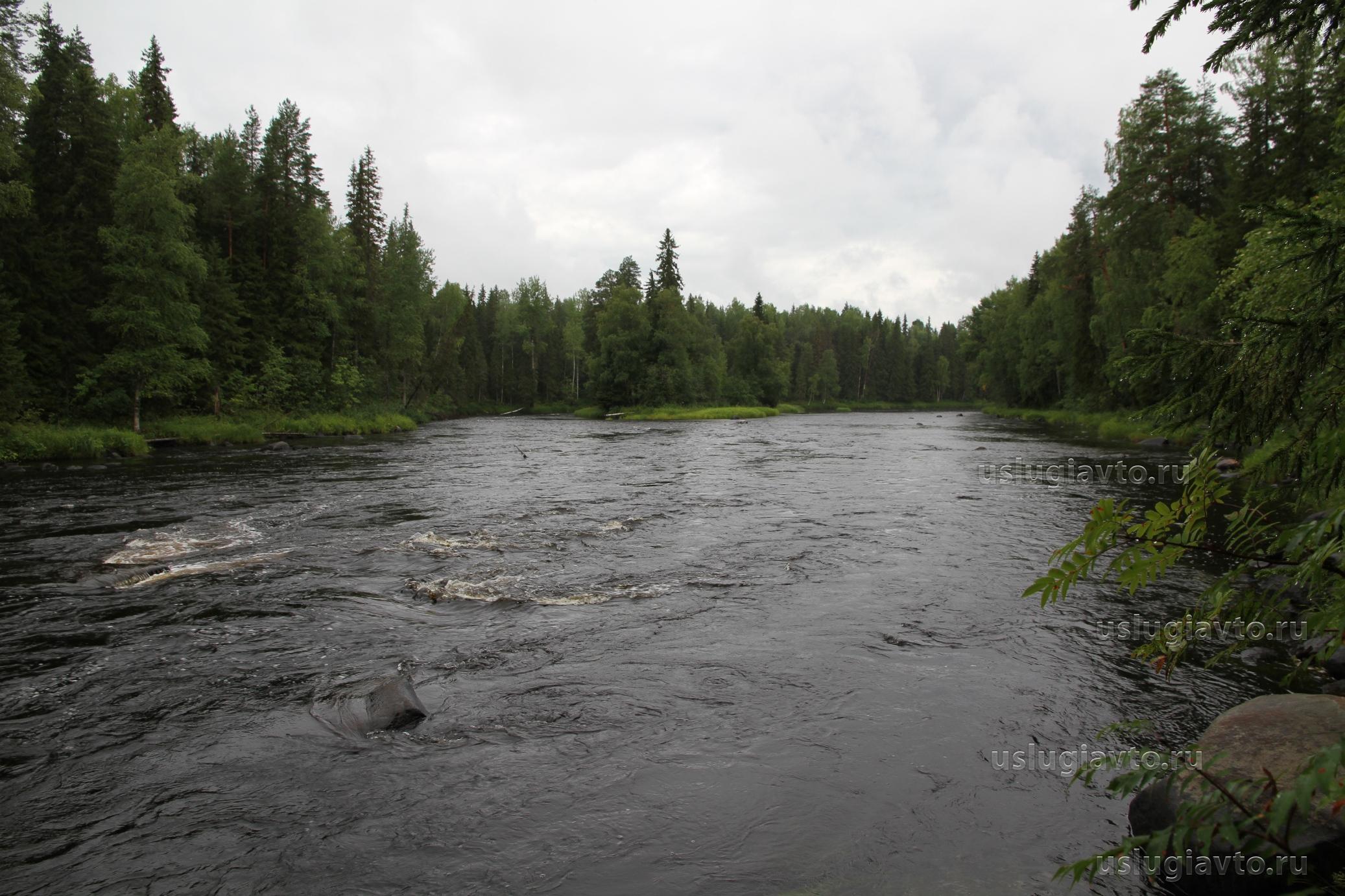 река Кожа